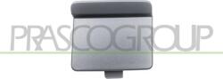 Prasco Elemente caroserie, Aripa, Bara protectie Capace, busoane Prasco VG4521286 (PRASCOVG4521286)