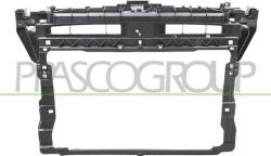 Prasco Elemente caroserie, Aripa, Bara protectie Partea frontala, Grila radiator Prasco VG7703210 - compatibil Vw (PRASCOVG7703210)