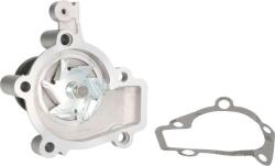 INA 538 0669 10 - POMPA APA - compatibil Hyundai. Kia - INA-538 0669 10 (INA538066910)