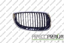 Prasco Elemente caroserie, Aripa, Bara protectie Partea frontala, Grila radiator Prasco BM0252003 - compatibil Bmw (PRASCOBM0252003)