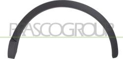 Prasco Elemente caroserie, Aripa, Bara protectie Aripa, piese Prasco AD8121584 (PRASCOAD8121584)