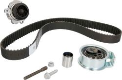 Hepu Set curea distributie Hepu PK05502 (HEPUPK05502)