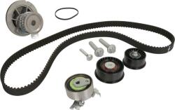 INA Set curea distributie INA 530 0441 30 (INA530044130)