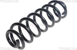 Triscan Arc spirala Triscan 8750 29391 - compatibil Vw, Skoda - Triscan-8750 29391 (TRISCAN875029391)