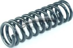 CS Germany Arc spirala CS Germany 14.319. 595 - compatibil Mercedes-Benz - CS Germany (CSGERMANY14319595)