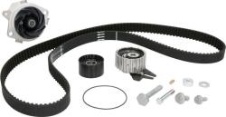 INA Set curea distributie INA 530 0624 30 (INA530062430)