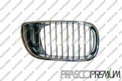 Prasco Elemente caroserie, Aripa, Bara protectie Partea frontala, Grila radiator Prasco BM0202013 - compatibil Bmw (PRASCOBM0202013)