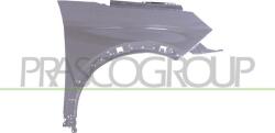 Prasco Elemente caroserie, Aripa, Bara protectie Aripa, piese Prasco PG5243003 - compatibil Peugeot (PRASCOPG5243003)