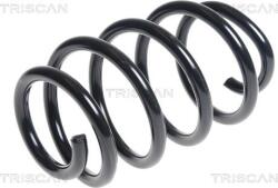 Triscan Arc spirala Triscan 8750 29346 - compatibil Audi, Seat - Triscan-8750 29346 (TRISCAN875029346)