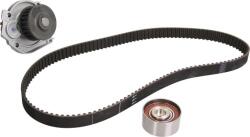 INA Set curea distributie INA 530 0462 30 (INA530046230)