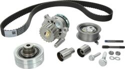 Hepu Set curea distributie Hepu PK05491 (HEPUPK05491)