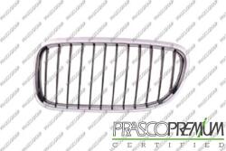 Prasco Elemente caroserie, Aripa, Bara protectie Partea frontala, Grila radiator Prasco BM0262004 (PRASCOBM0262004)