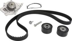 Hepu Set curea distributie Hepu PK08012 - compatibil Peugeot, Citroën (HEPUPK08012)