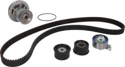 INA Set curea distributie INA 530 0049 30 (INA530004930)