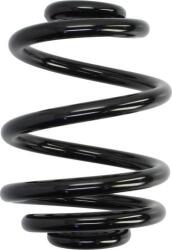 KYB Arc spirala KYB RX6237 - compatibil Renault, Vw (KYBRX6237)
