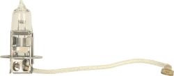 Bosch Faruri, piese componente Bec cu incendescenta far Bosch 1 987 302 431 - compatibil Scania, Daf, Volvo, Mercedes-Benz - BOSCH-1 987 302 431 (BOSCH1987302431)