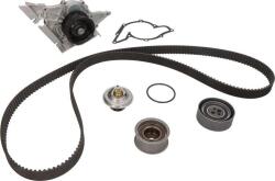 INA Set curea distributie INA 530 0161 30 (INA530016130)