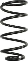 KYB Arc spirala KYB RA1421 - compatibil Ford (KYBRA1421)