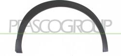Prasco Elemente caroserie, Aripa, Bara protectie Aripa, piese Prasco PG5041584 (PRASCOPG5041584)