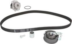INA Set curea distributie INA 530 0344 30 (INA530034430)