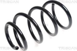 Triscan Arc spirala Triscan 8750 25118 - compatibil Renault, Opel, Vauxhall, Nissan - Triscan-8750 25118 (TRISCAN875025118)