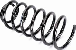 KYB Arc spirala KYB RG1590 - compatibil Vw, Seat (KYBRG1590)