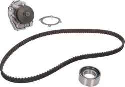 Dayco Set curea distributie Dayco KTBWP2910 (DAYCOKTBWP2910)