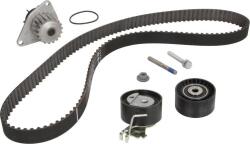 INA Set curea distributie INA 530 0419 30 (INA530041930)