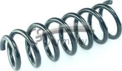 CS Germany Arc spirala CS Germany 14.101. 603 - compatibil 31336778113 - CS Germany (CSGERMANY14101603)