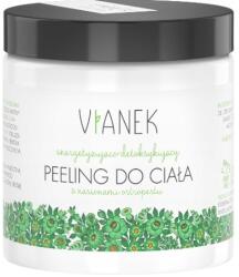 VIANEK Energetizáló és Méregtelenítő Testradír 250ml (5907502687836)