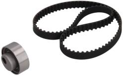 KAMOKA Set curea de distributie KAMOKA 7001159 (7001159)