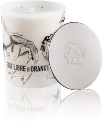 État Libre d'Orange I Am Trash