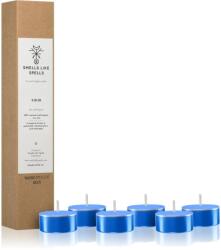 Smells Like Spells Norse Magic Thor teamécses (concentration/career) 6 db
