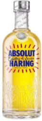 Absolut Haring Artist Edition Vodka 0, 7L 40%