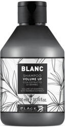 Black Professional Blanc Volume Up Volumising Shampoo 300 ml