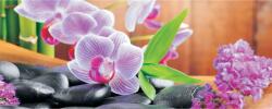 DEGRETS Fotótapéta DEGRETS 83768 Orchideák Zen 1 textil, 104x250cm (83768)