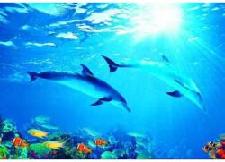 DEGRETS Fotótapéta DEGRETS 84509, Delfin, 136x194cm (84509)