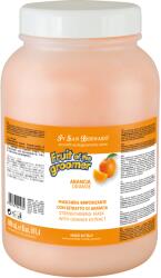 Iv San Bernard Balsam Iv San Bernard Orange PEK Sublime, pentru caini si pisici, 3000ml