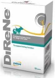  DiReNe DiReNe 32 tbl