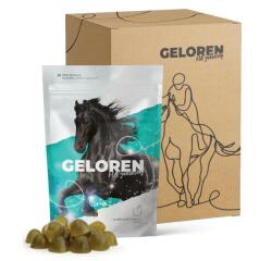  GELOREN Geloren HA aliment pentru încheieturi la cai, măr 1350 g (3 x 450 g)