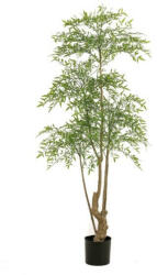  Élethű ruscus műfa 180 cm - természetes hatású törzzsel, cserépben