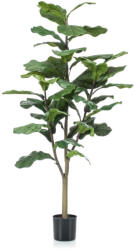  Élethű cserepes ficus lyrata 120cm