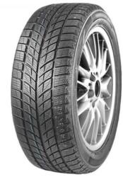 Double Star Winterking DW09 235/55 R20 102H