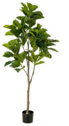  Élethű fikusz benghalensis növény cserépben 170 cm