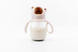 Kidnort Biberon Jordbaer 300ml 6m+ bej (KNA00005)