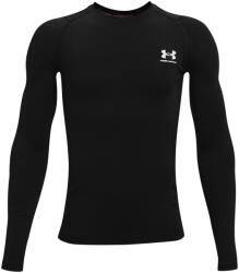 Under Armour HeatGear® Long Sleeve Boys - Black