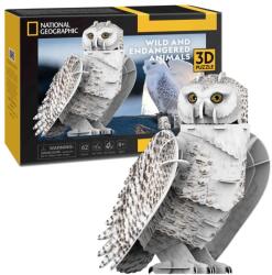 CubicFun CUBICFUN - PUZZLE 3D BUFNITA POLARA 62 PIESE (CUDS1079h)