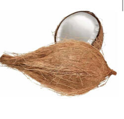  Pooja Coconut Proaspat 3buc Import India
