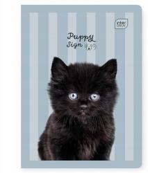 Interdruk Kockás füzet A5/16k, Kölyök macska kutya, 1db (226921)