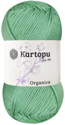  Kartopu Organica 100% pamut fonal 493 - Aloe